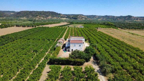 casa indipendente in vendita a Montescaglioso