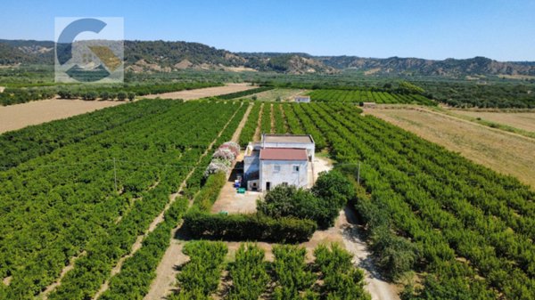 casa indipendente in vendita a Montescaglioso