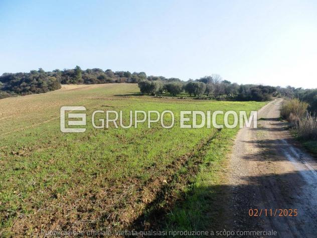 terreno agricolo in vendita a Montescaglioso