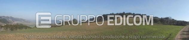 terreno agricolo in vendita a Montescaglioso