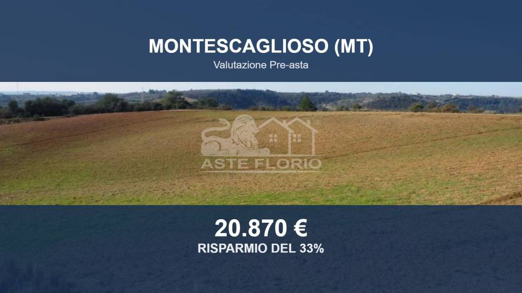 terreno agricolo in vendita a Montescaglioso