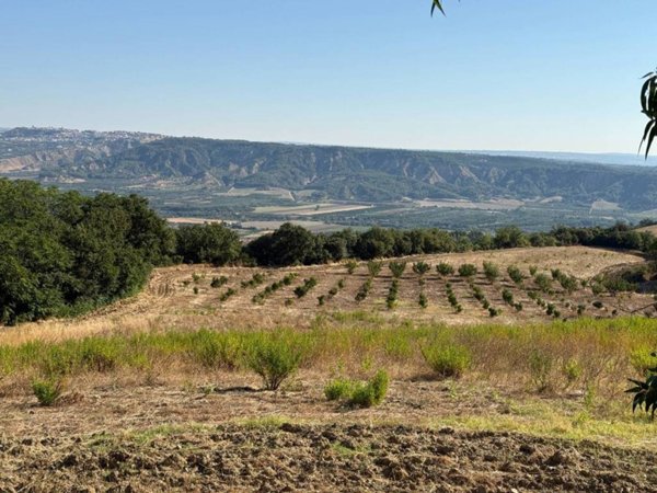 terreno agricolo in vendita a Montescaglioso