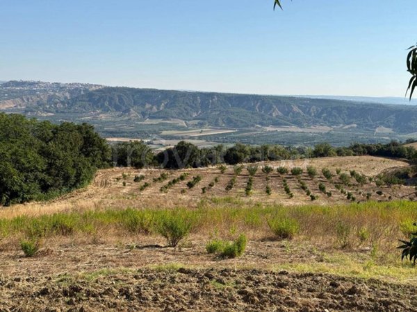 azienda agricola in vendita a Montescaglioso