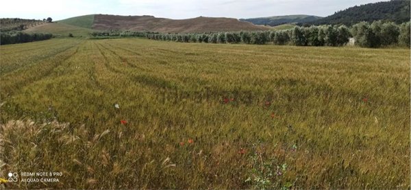 terreno agricolo in vendita a Montescaglioso