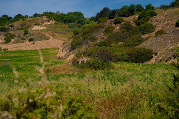 azienda agricola in vendita a Nova Siri