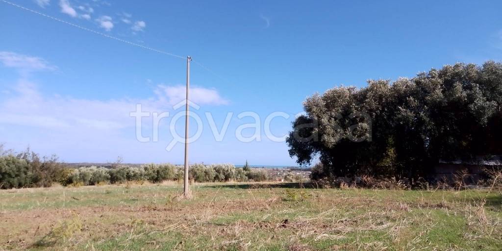 terreno agricolo in vendita a Nova Siri