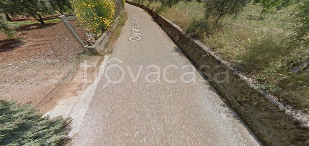 terreno agricolo in vendita a Nova Siri