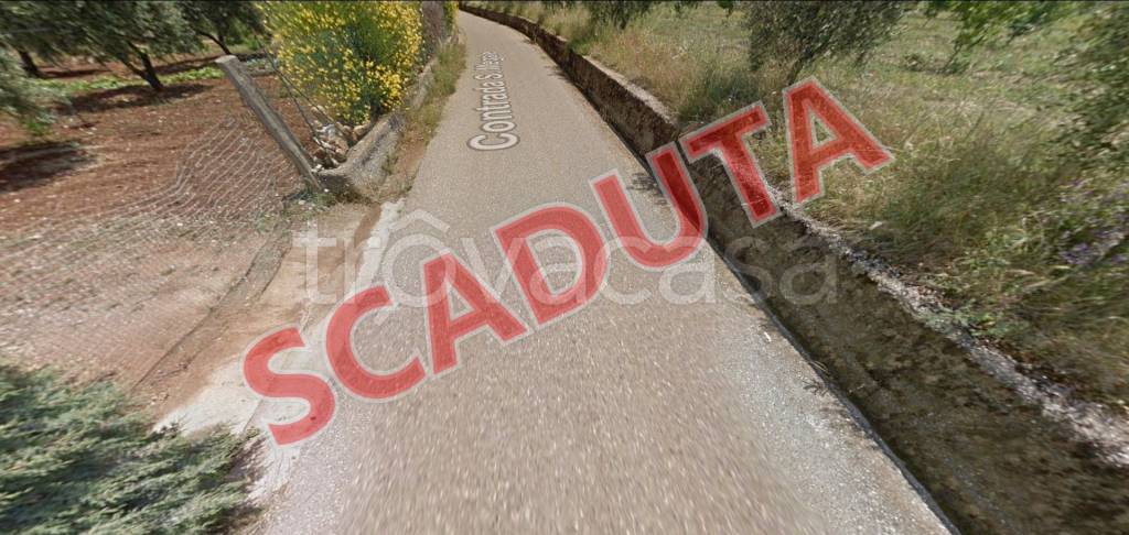 terreno agricolo in vendita a Nova Siri