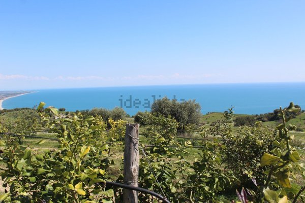 terreno agricolo in vendita a Nova Siri