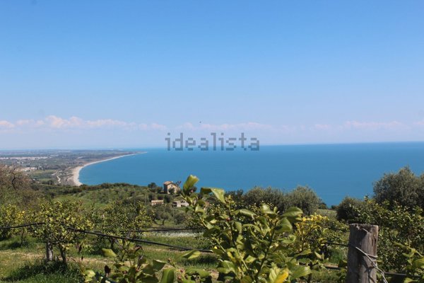terreno agricolo in vendita a Nova Siri