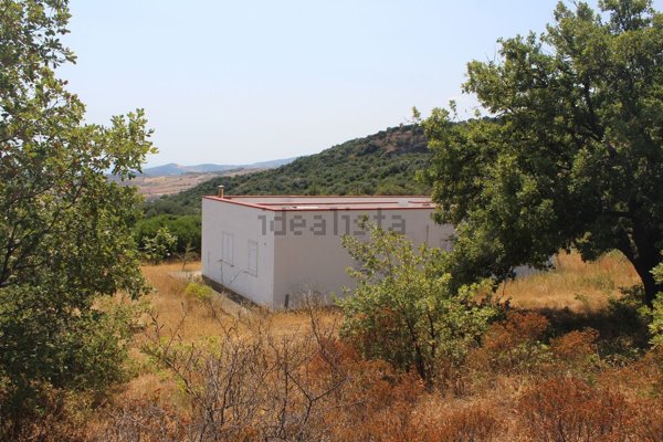 casa indipendente in vendita a Nova Siri