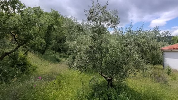 appartamento in vendita a Nova Siri