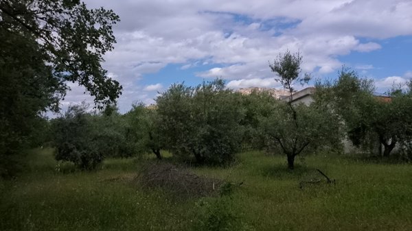 casa indipendente in vendita a Nova Siri
