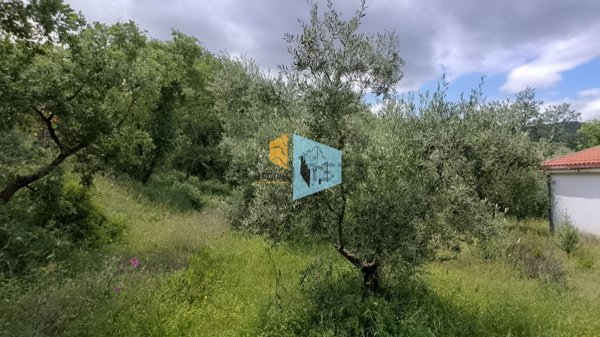 casa indipendente in vendita a Nova Siri