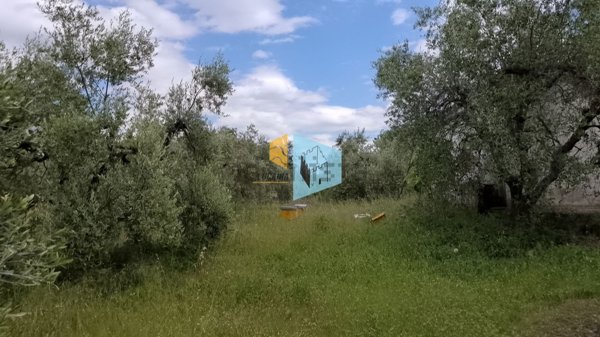 casa indipendente in vendita a Nova Siri
