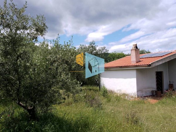 casa indipendente in vendita a Nova Siri
