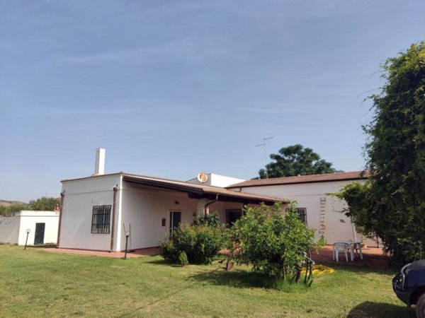 terreno agricolo in vendita a Pisticci