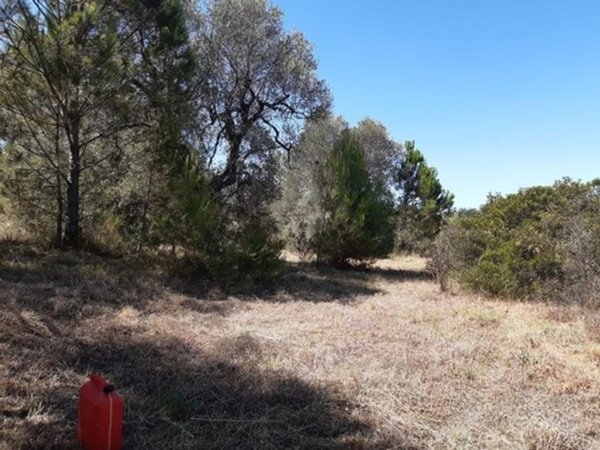 casa indipendente in vendita a Pisticci in zona Marconia