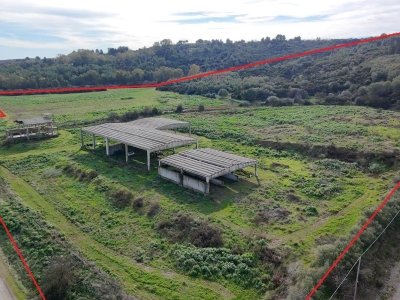 azienda agricola in vendita a Pisticci