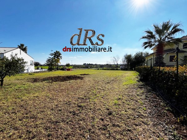 terreno agricolo in vendita a Pisticci in zona Centro Agricolo