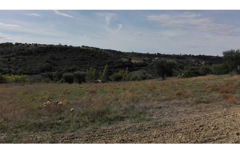 azienda agricola in vendita a Pisticci in zona Tinchi