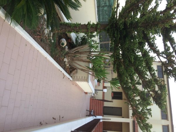 casa indipendente in vendita a Pisticci in zona Marconia