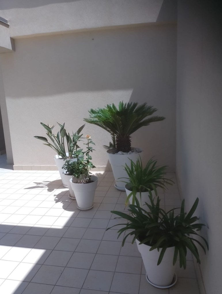 appartamento in vendita a Pisticci in zona Marconia