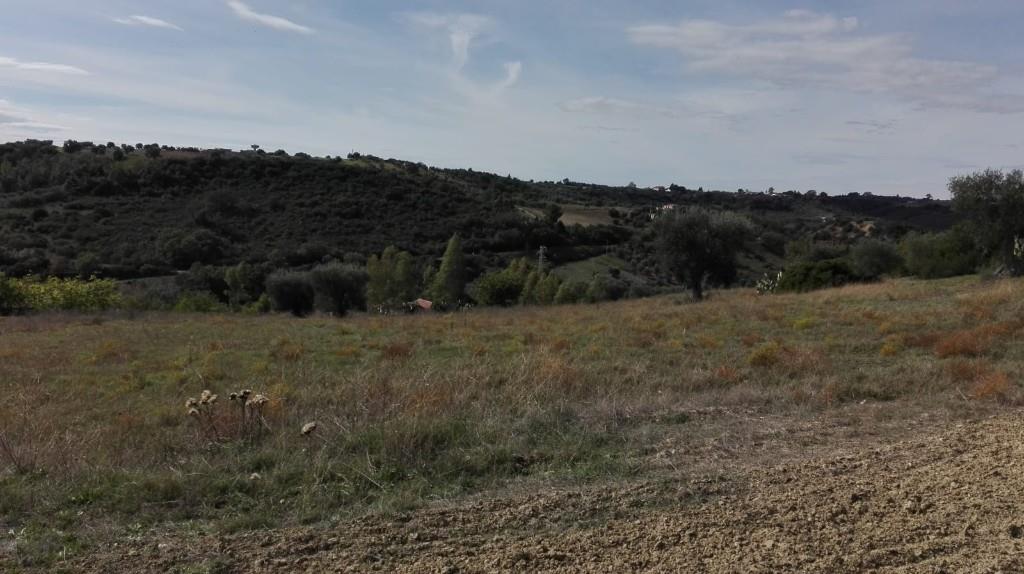azienda agricola in vendita a Pisticci in zona Tinchi