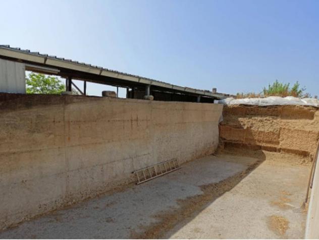 pentavano in vendita a Pisticci