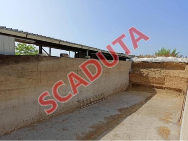 pentavano in vendita a Pisticci