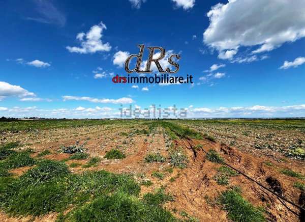 terreno agricolo in vendita a Pisticci in zona Marconia