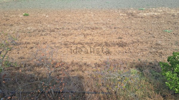 terreno agricolo in vendita a Pisticci