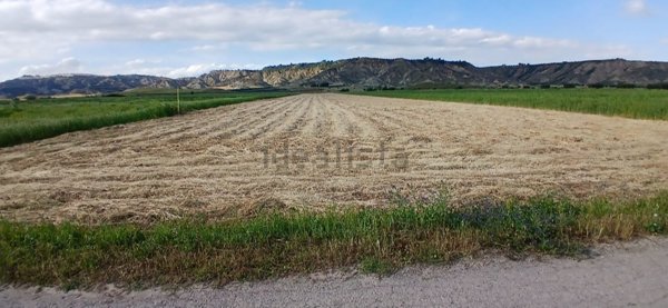 terreno agricolo in vendita a Pisticci