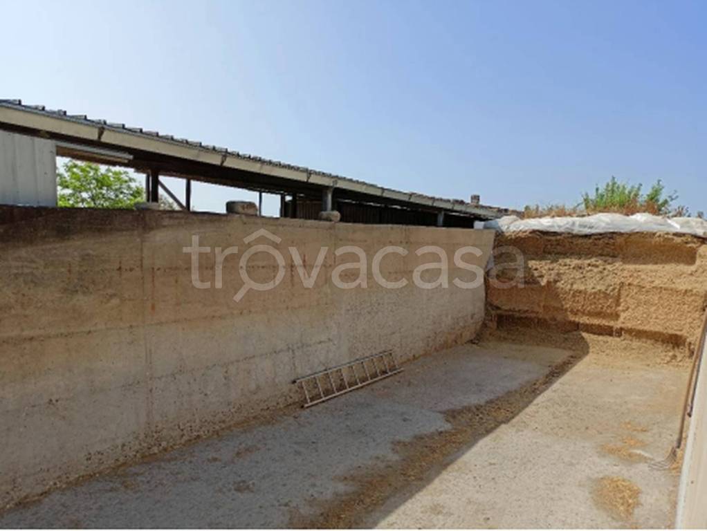 azienda agricola in vendita a Pisticci