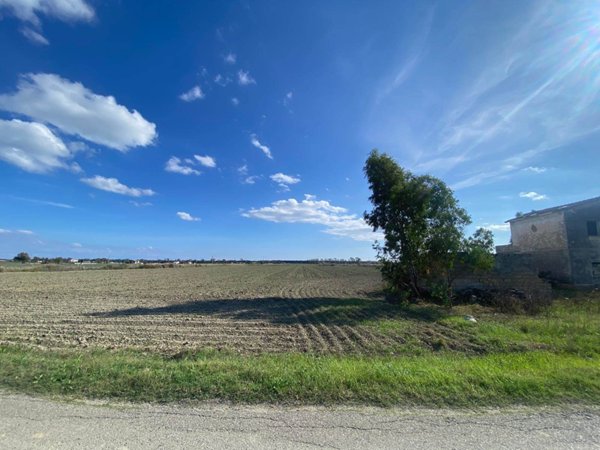 azienda agricola in vendita a Pisticci in zona Marina di Pisticci