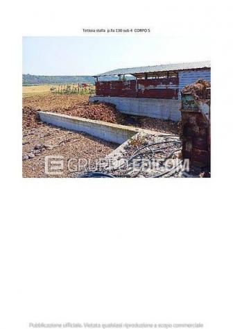 casa indipendente in vendita a Pisticci