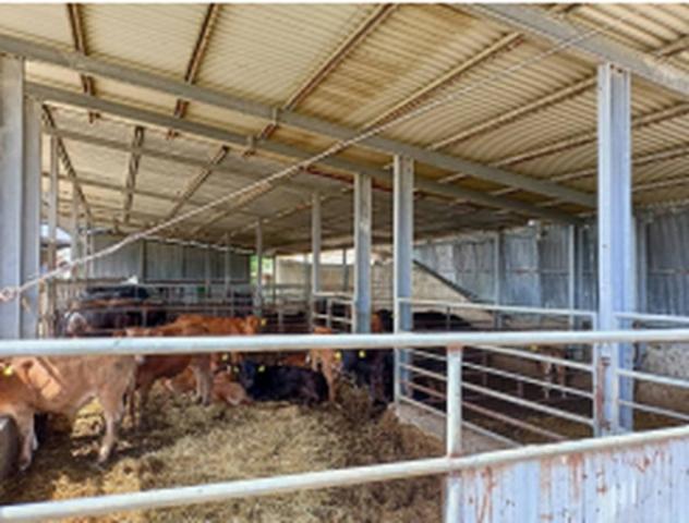 appartamento in vendita a Pisticci