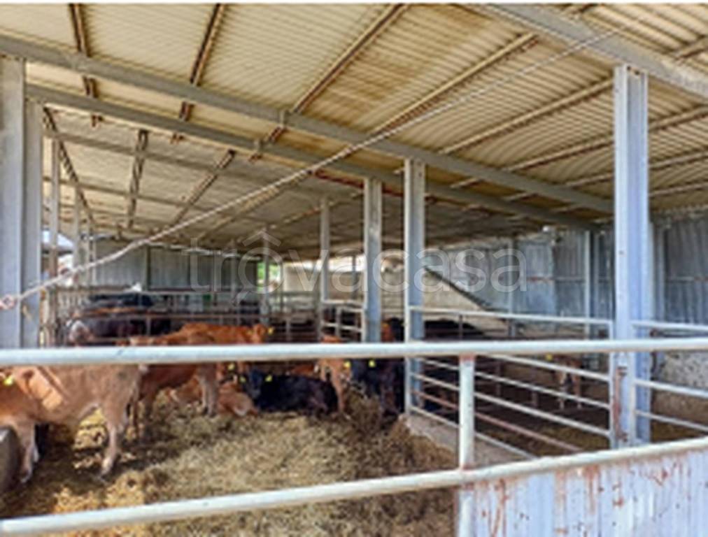 appartamento in vendita a Pisticci