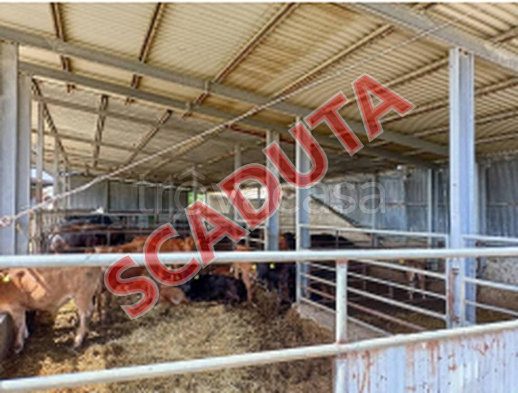 appartamento in vendita a Pisticci