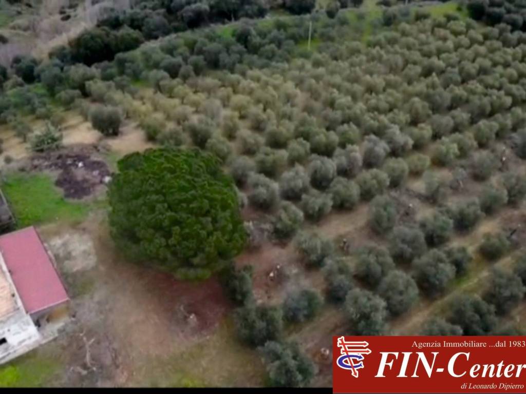 terreno agricolo in vendita a Pisticci