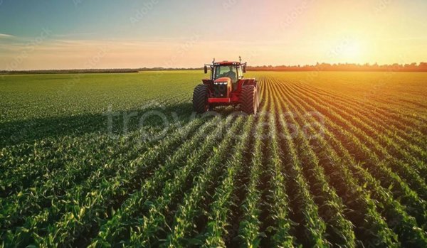 terreno agricolo in vendita a Pisticci