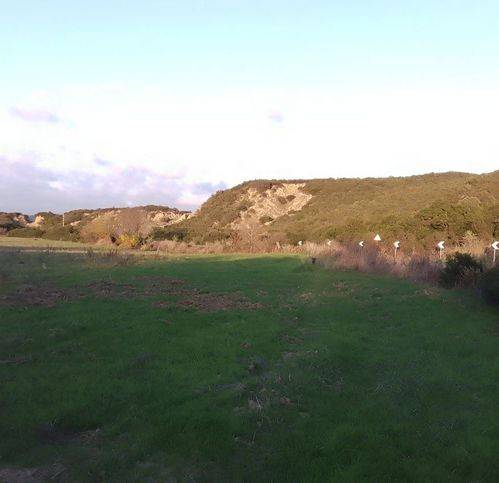 terreno agricolo in vendita a Pisticci in zona Marconia