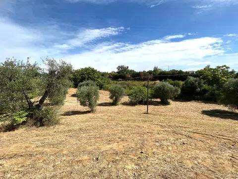 terreno agricolo in vendita a Pisticci