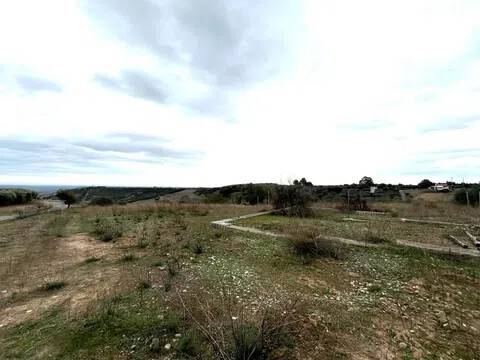 terreno agricolo in vendita a Pisticci