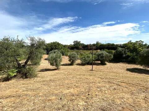 terreno agricolo in vendita a Pisticci
