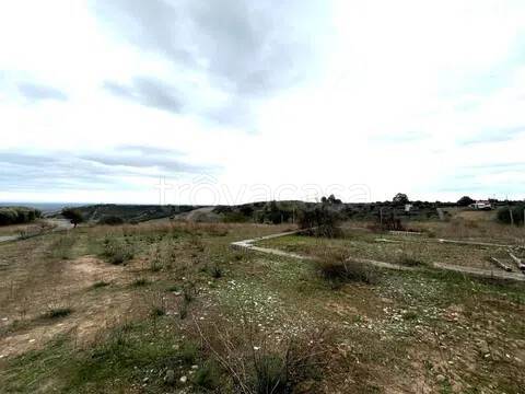 terreno agricolo in vendita a Pisticci