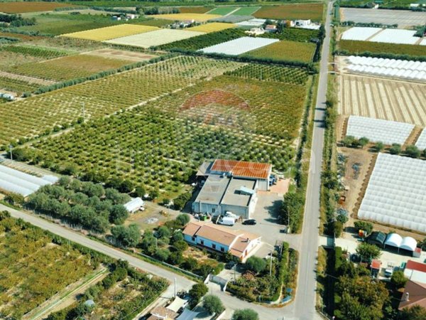 ufficio in vendita a Policoro