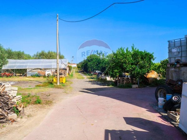 azienda agricola in vendita a Policoro