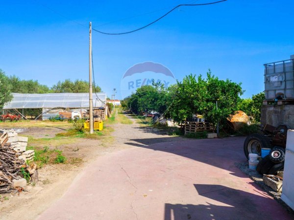 azienda agricola in vendita a Policoro