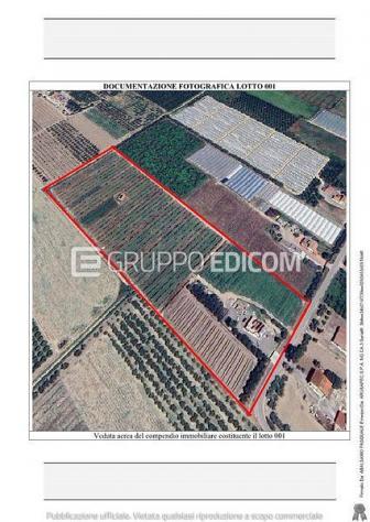 terreno agricolo in vendita a Policoro